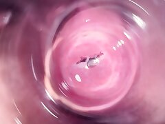 Inside Mia's vagina, internal camera